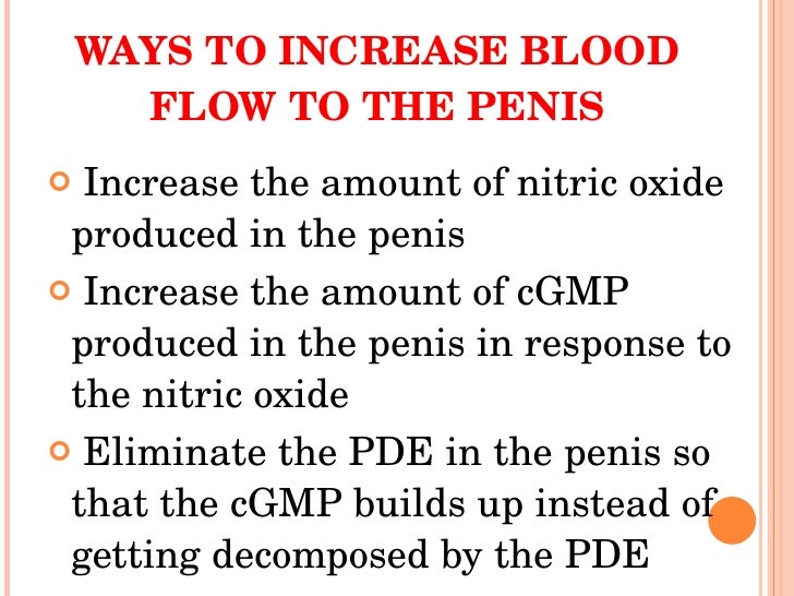 To The Blood Penis Improving Flow To The Blood Penis Improving Flow